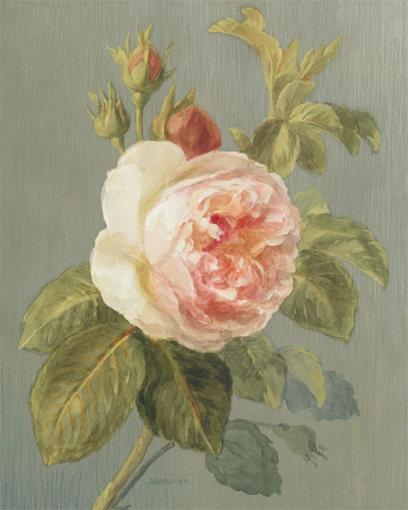 Heirloom Pink Rose by Danhui Nai