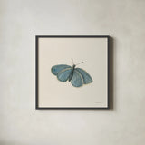 Honeybloom Butterfly I by Danhui Nai. Shown in a sleek black glass frame for a contemporary gallery look. Available as an archival giclee rolled canvas, fine art paper, or poster print. SKU 95259a.