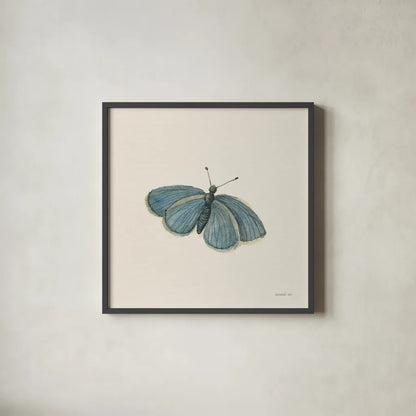 Honeybloom Butterfly I by Danhui Nai. Shown in a sleek black glass frame for a contemporary gallery look. Available as an archival giclee rolled canvas, fine art paper, or poster print. SKU 95259a.