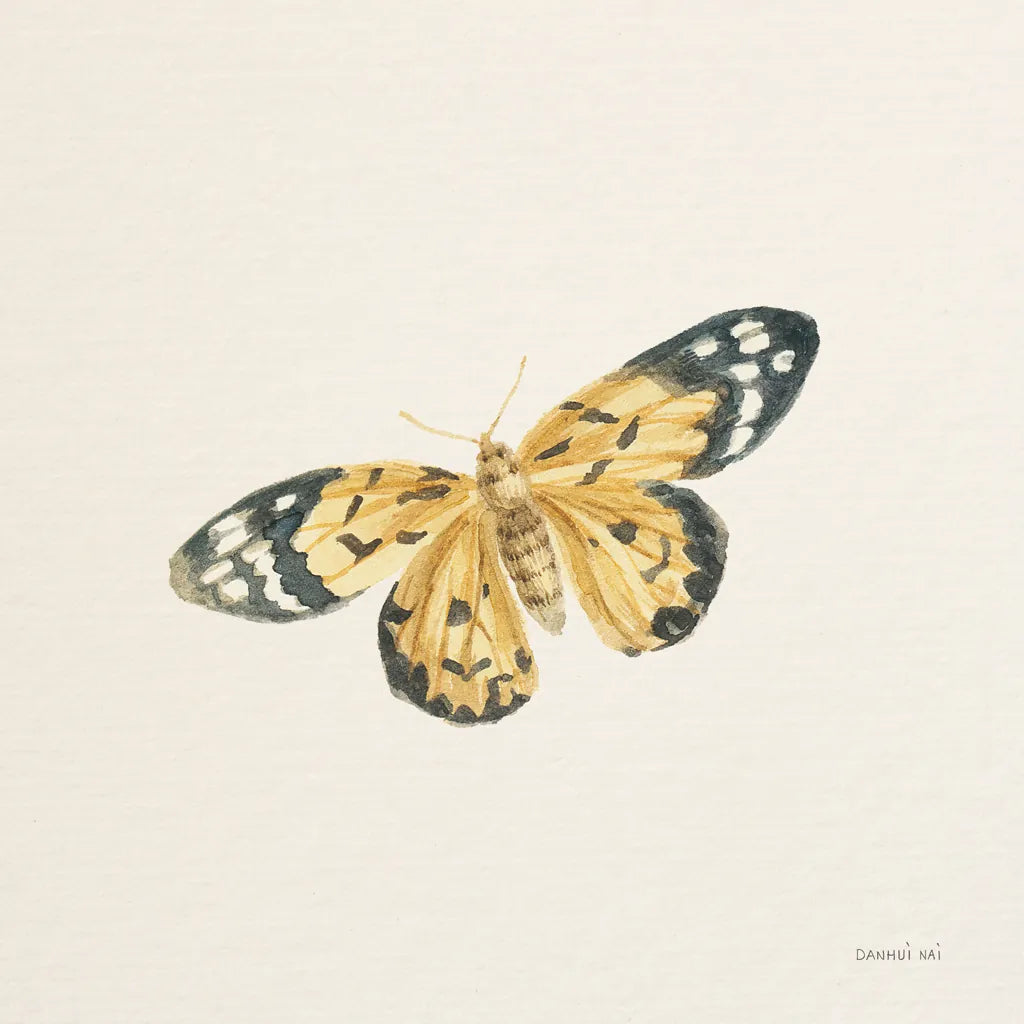 Honeybloom Butterfly II by Danhui Nai. SKU 95260a. Archival Giclee Fine art print for wall decor.
