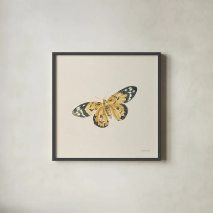 Honeybloom Butterfly II by Danhui Nai. Shown in a sleek black glass frame for a contemporary gallery look. Available as an archival giclee rolled canvas, fine art paper, or poster print. SKU 95260a.