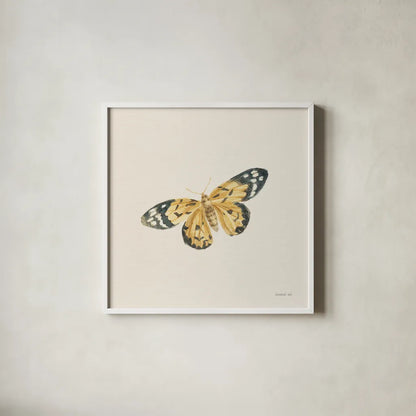 Honeybloom Butterfly II by Danhui Nai. Shown in a crisp white glass frame for a clean and minimalist style. Available as an archival giclee rolled canvas, fine art paper, or poster print. SKU 95260a.
