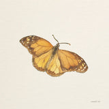 Honeybloom Butterfly III by Danhui Nai. SKU 95261a. Archival Giclee Fine art print for wall decor.