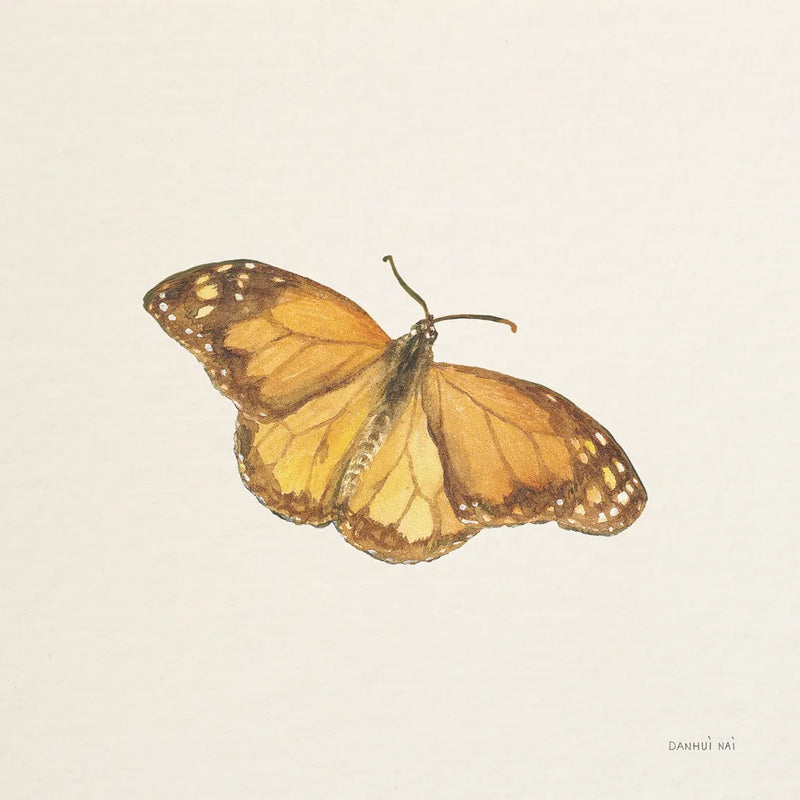 Honeybloom Butterfly III by Danhui Nai. SKU 95261a. Archival Giclee Fine art print for wall decor.
