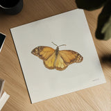 Honeybloom Butterfly III by Danhui Nai. Shown as a detailed flat fine art print, highlighting archival giclee quality. Available as an archival giclee rolled canvas, fine art paper, or poster print. SKU 95261a.