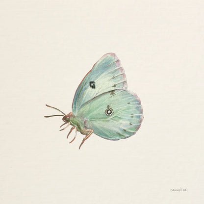 Honeybloom Butterfly IV by Danhui Nai. SKU 95262a. Archival Giclee Fine art print for wall decor.
