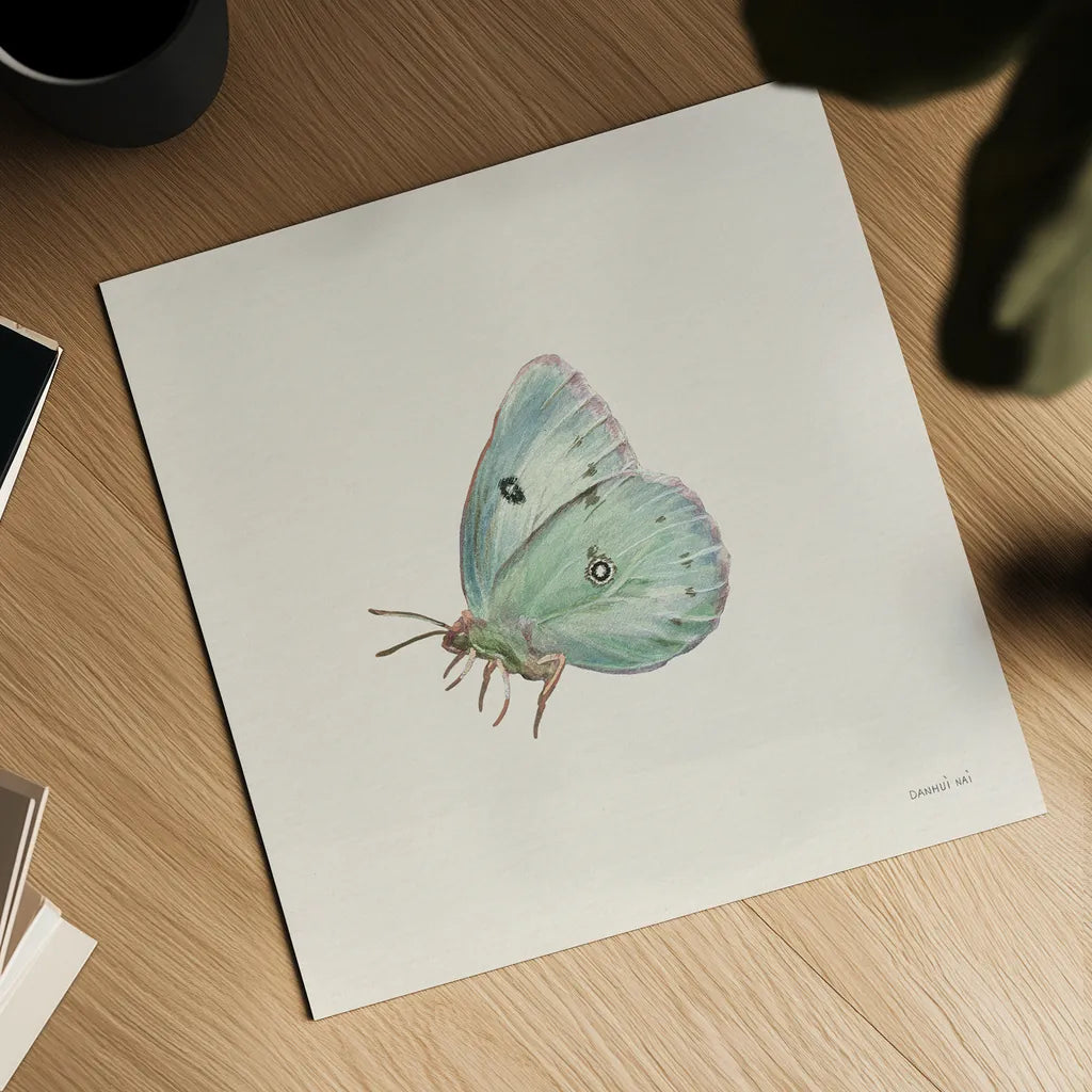 Honeybloom Butterfly IV by Danhui Nai. Shown as a detailed flat fine art print, highlighting archival giclee quality. Available as an archival giclee rolled canvas, fine art paper, or poster print. SKU 95262a.