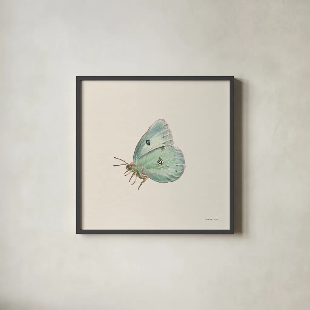 Honeybloom Butterfly IV by Danhui Nai. Shown in a sleek black glass frame for a contemporary gallery look. Available as an archival giclee rolled canvas, fine art paper, or poster print. SKU 95262a.