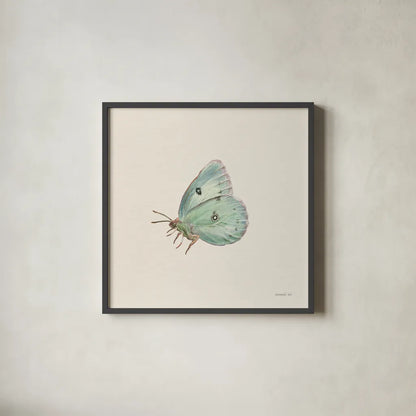 Honeybloom Butterfly IV by Danhui Nai. Shown in a sleek black glass frame for a contemporary gallery look. Available as an archival giclee rolled canvas, fine art paper, or poster print. SKU 95262a.