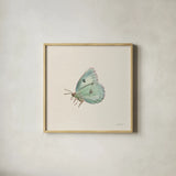 Honeybloom Butterfly IV by Danhui Nai. Shown in a natural wood glass frame for a timeless modern aesthetic. Available as an archival giclee rolled canvas, fine art paper, or poster print. SKU 95262a.