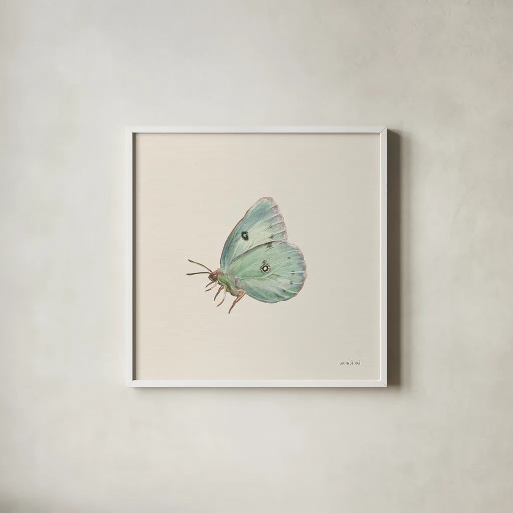 Honeybloom Butterfly IV by Danhui Nai. Shown in a crisp white glass frame for a clean and minimalist style. Available as an archival giclee rolled canvas, fine art paper, or poster print. SKU 95262a.