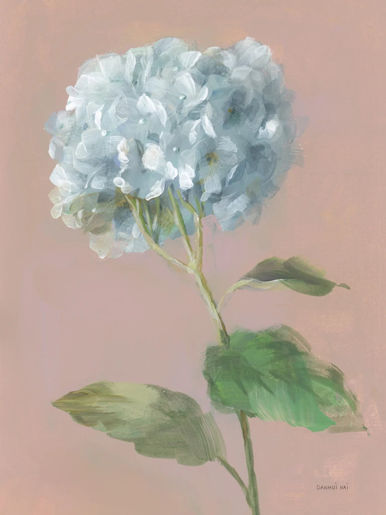 Hydrangea over dusty pink II by Danhui Nai