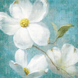 Indiness Blossom Square Vintage IV by Danhui Nai. SKU 13729a. Archival Giclee Fine art print for wall decor.