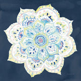 Jaipur VI Navy by Danhui Nai. SKU 39356a. Archival Giclee Fine art print for wall decor.
