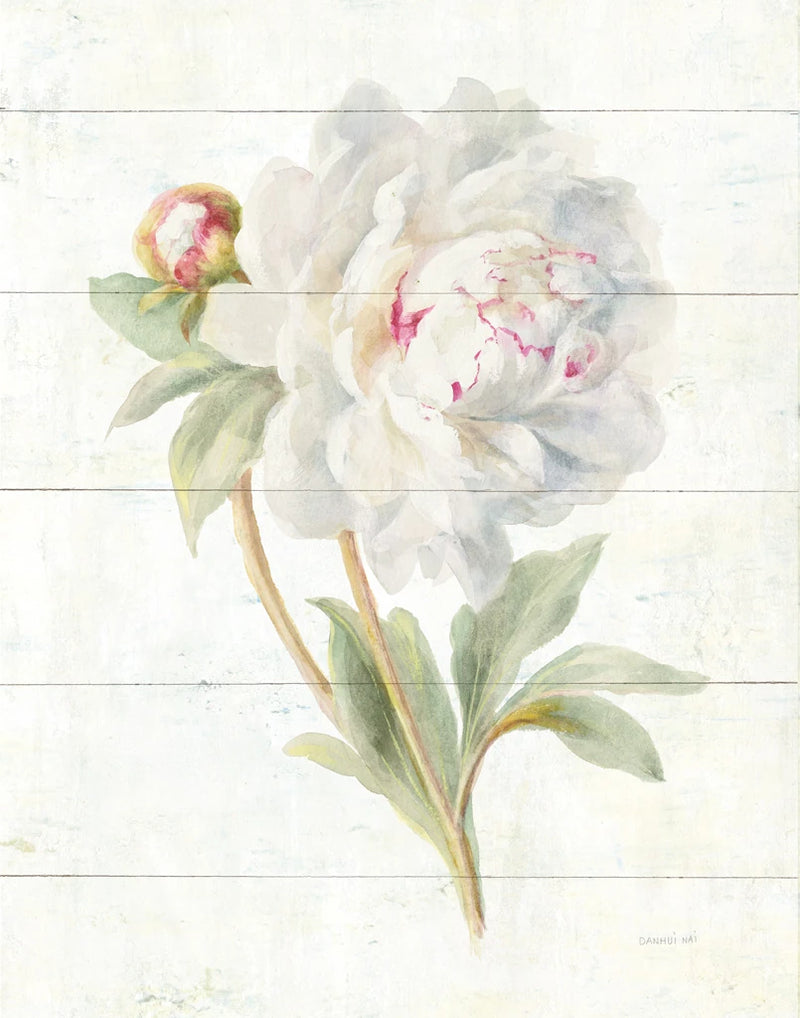 June Blooms II by Danhui Nai