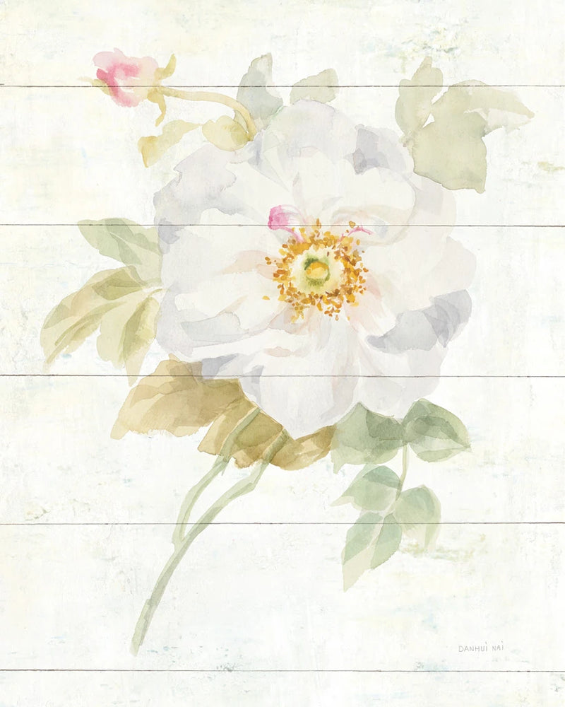June Blooms III by Danhui Nai