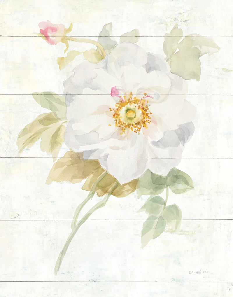 June Blooms III by Danhui Nai