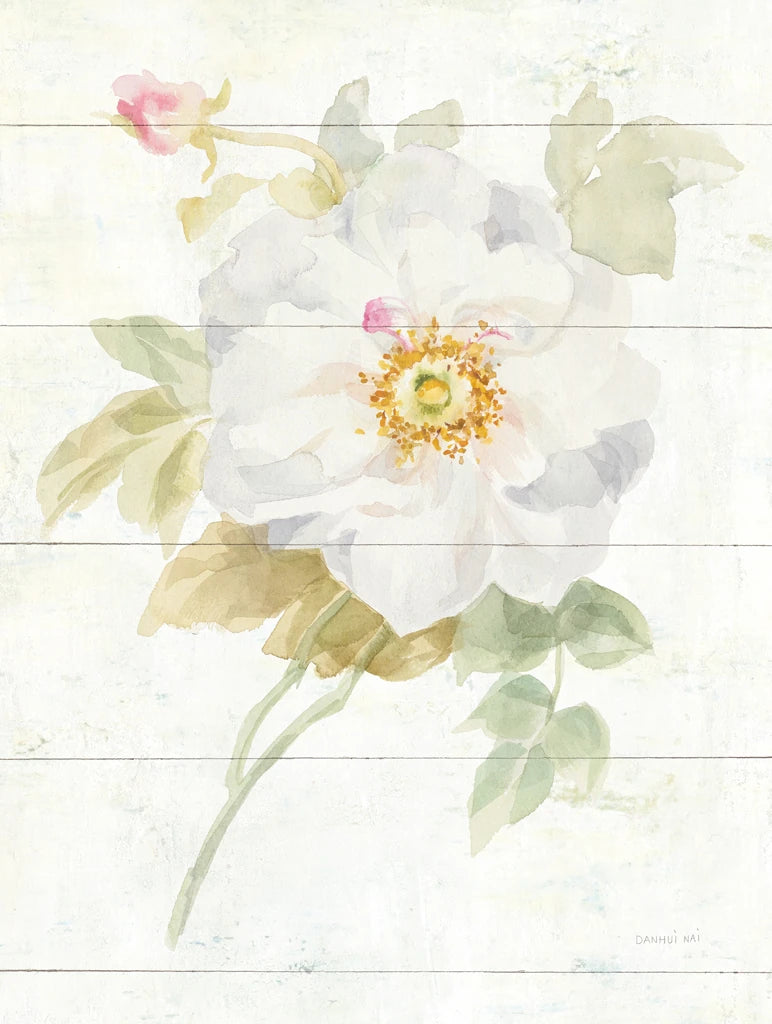 June Blooms III Crop by Danhui Nai
