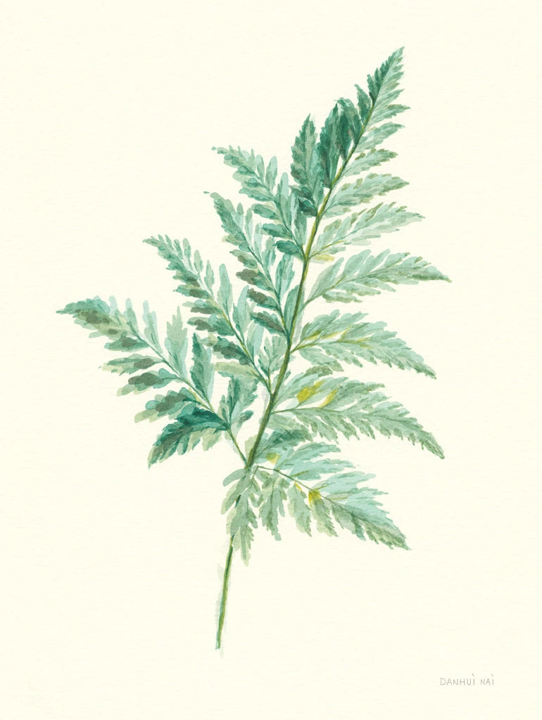 Leaf Study I by Danhui Nai
