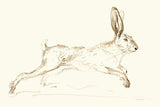 Leaps and Bounds by Danhui Nai. SKU 88571i. Archival Giclee Fine art print for wall decor.