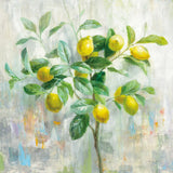 Lemon Branch by Danhui Nai. SKU 48295a. Archival Giclee Fine art print for wall decor.