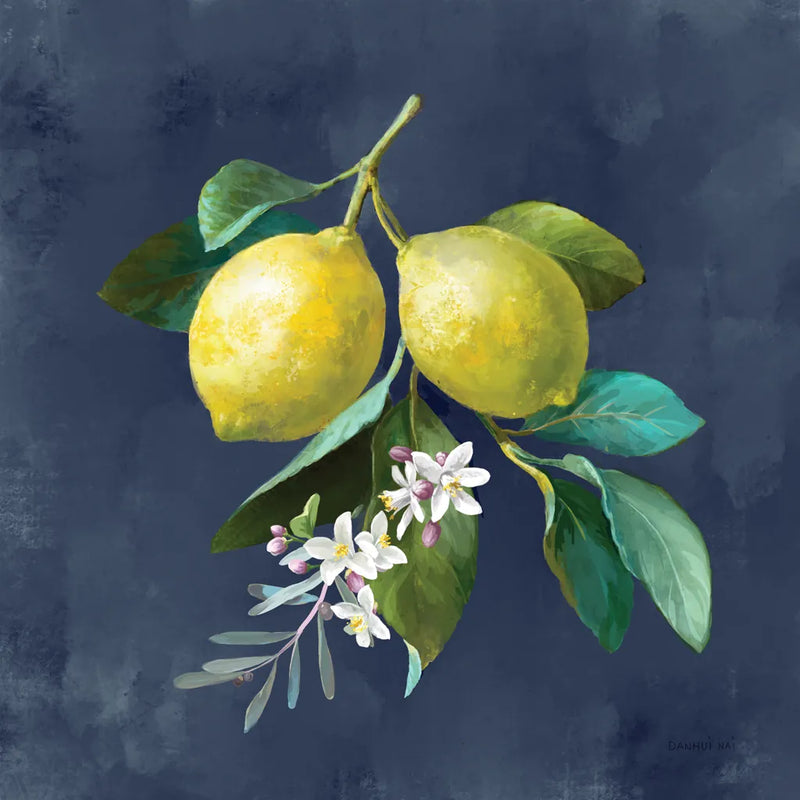 Lemon Branches I by Danhui Nai. SKU 88612a. Archival Giclee Fine art print for wall decor.