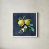 Lemon Branches I by Danhui Nai. Shown in a crisp white glass frame for a clean and minimalist style. Available as an archival giclee rolled canvas, fine art paper, or poster print. SKU 88612a.