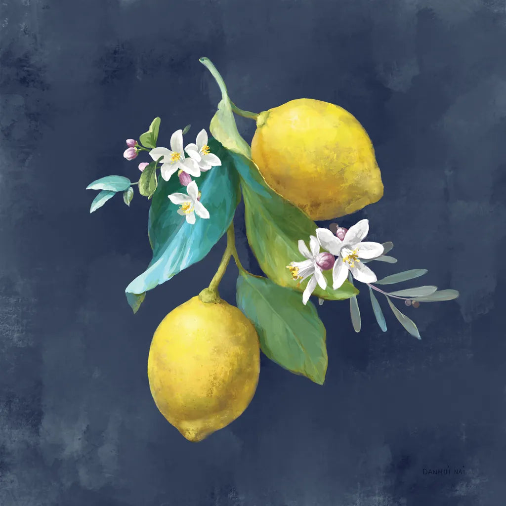Lemon Branches II by Danhui Nai. SKU 88613a. Archival Giclee Fine art print for wall decor.