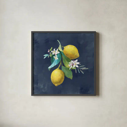 Lemon Branches II by Danhui Nai. Shown in a sleek black glass frame for a contemporary gallery look. Available as an archival giclee rolled canvas, fine art paper, or poster print. SKU 88613a.