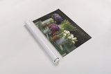 Les Fleurs Printemps on Black by Danhui Nai. shown as a rolled paper print. Available as archival giclee rolled canvas, fine art paper, or poster print. SKU 24674i.