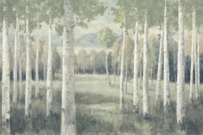 Light Aspens by Danhui Nai. SKU 72455i. Archival Giclee Fine art print for wall decor.