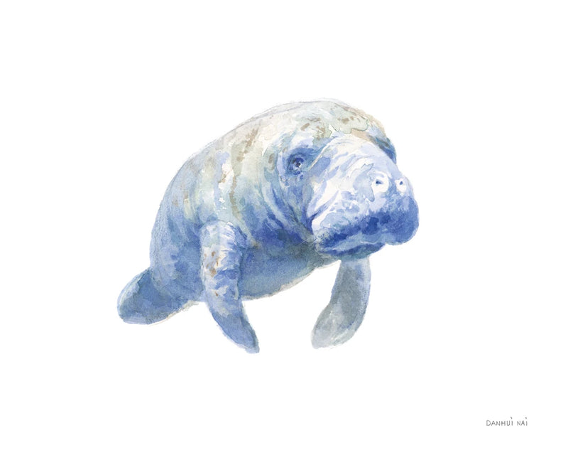 Manatee by Danhui Nai