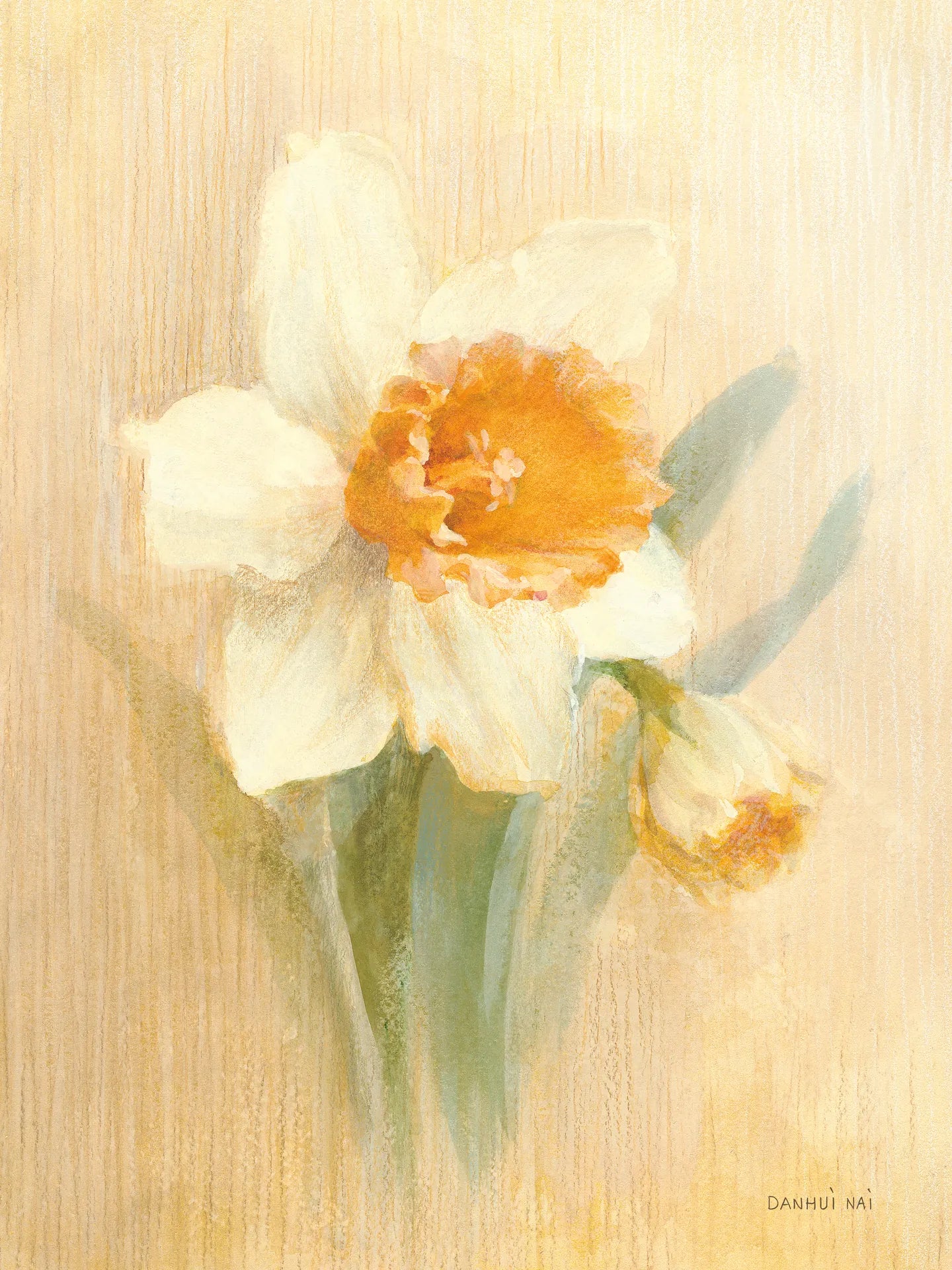 March Trumpet Daffodil by Danhui Nai. SKU 36507f. Archival Giclee Fine art print for wall decor.