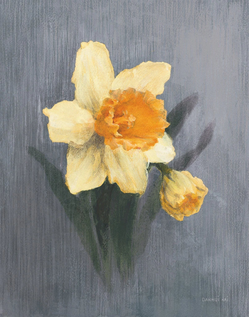 March Trumpet Daffodil on Gray by Danhui Nai