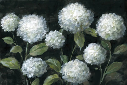 Midnight Garden by Danhui Nai. SKU 92540i. Archival Giclee Fine art print for wall decor.