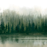 Misty Forest Evergreen by Danhui Nai. SKU 96649a. Archival Giclee Fine art print for wall decor.