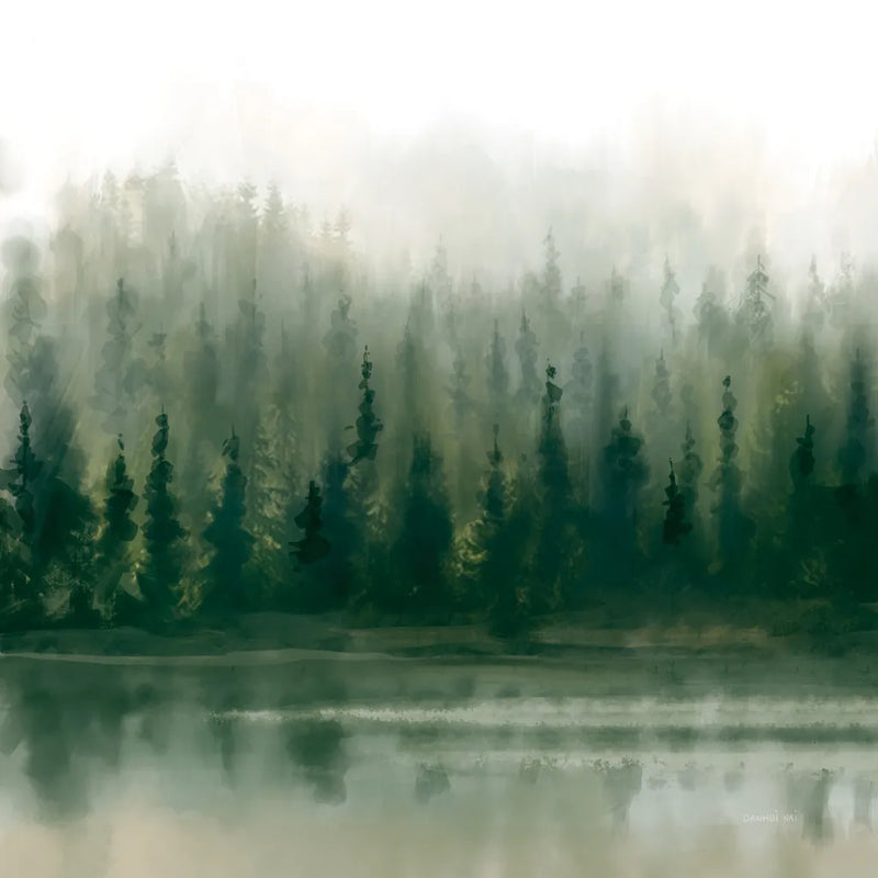 Misty Forest Evergreen by Danhui Nai. SKU 96649a. Archival Giclee Fine art print for wall decor.