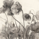 Monochromatic Poppies by Danhui Nai. SKU 99979a. Archival Giclee Fine art print for wall decor.