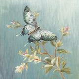 Natural Detail II Blue by Danhui Nai. SKU 61879a. Archival Giclee Fine art print for wall decor.