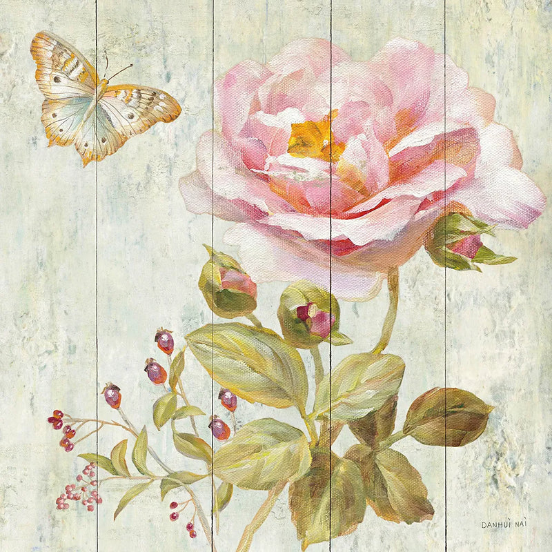 Natural Flora II by Danhui Nai. SKU 22623a. Archival Giclee Fine art print for wall decor.