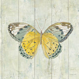 Natural Flora IX by Danhui Nai. SKU 23171a. Archival Giclee Fine art print for wall decor.
