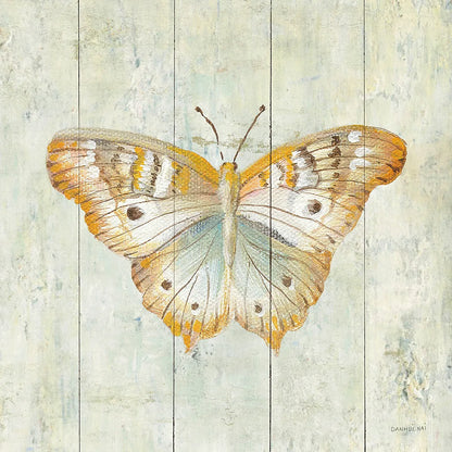 Natural Flora VII by Danhui Nai. SKU 23169a. Archival Giclee Fine art print for wall decor.