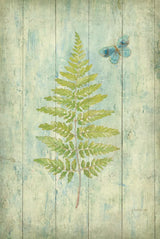 Natural Floral XIII Butterfly by Danhui Nai. SKU 30471h. Archival Giclee Fine art print for wall decor.