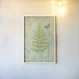 Natural Floral XIII Butterfly by Danhui Nai. shown as a paper print in a white frame. Available as a archival giclee rolled canvas, fine art paper, or poster print. SKU 30471h.