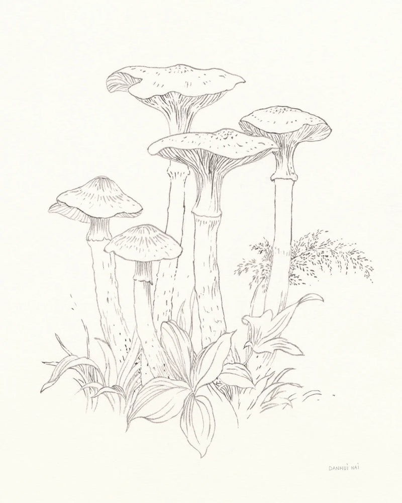 Nature Sketchbook I by Danhui Nai