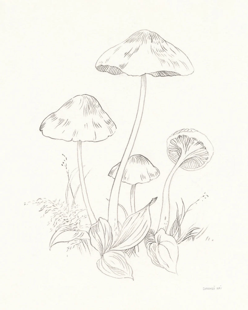 Nature Sketchbook III by Danhui Nai
