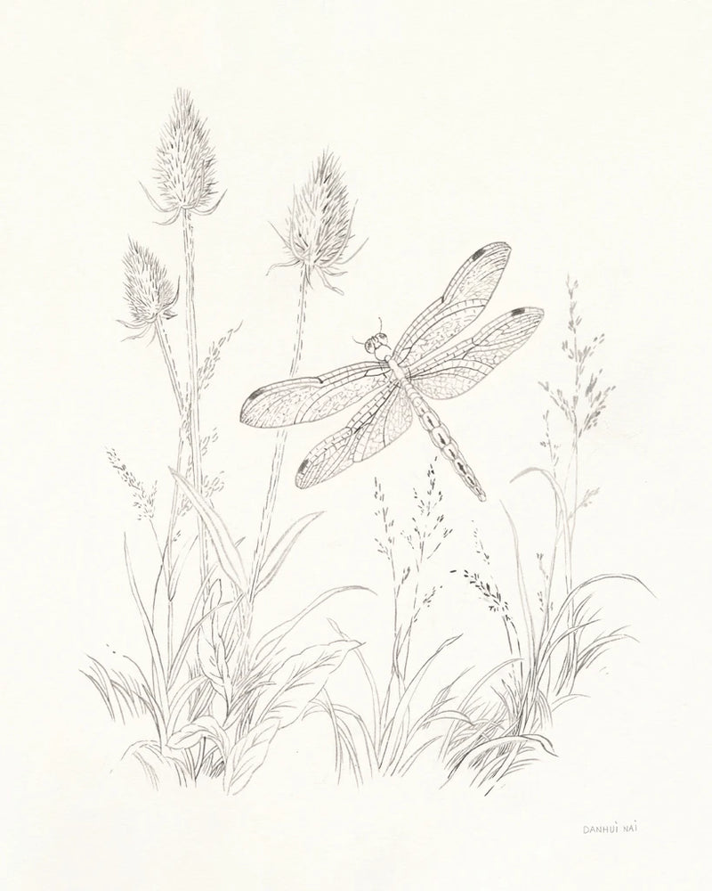 Nature Sketchbook IV by Danhui Nai