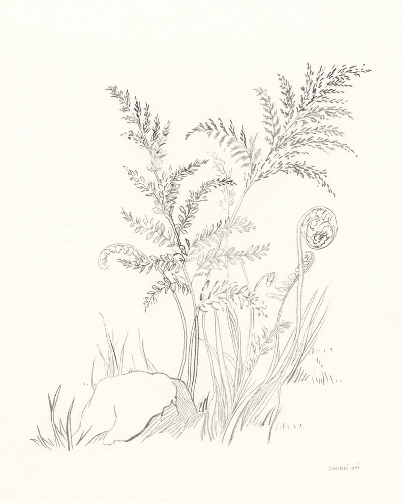Nature Sketchbook VI by Danhui Nai
