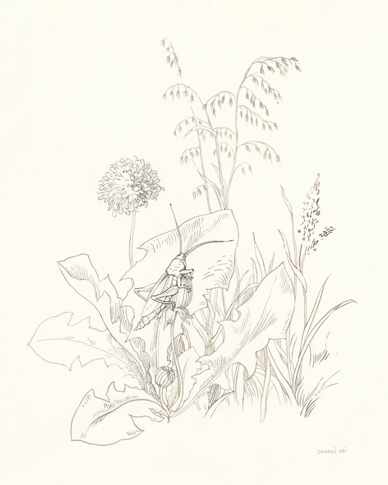 Nature Sketchbook VII by Danhui Nai