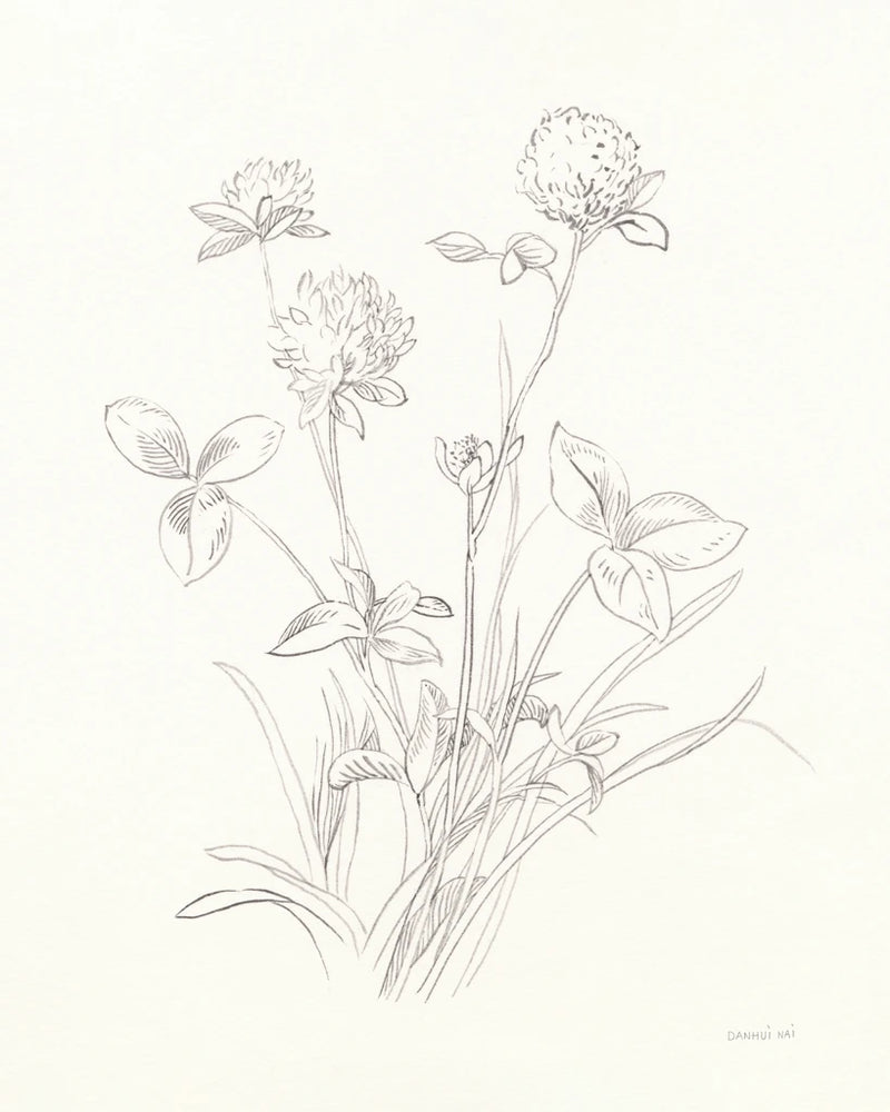 Nature Sketchbook VIII by Danhui Nai
